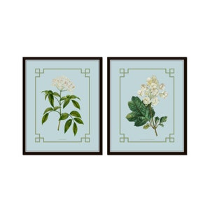 Oak Leaf Hydrangea and Elderberry Print Set on French Blue Background,  Botanical Print Set, Vintage Botanical Prints, Chinoiserie Art