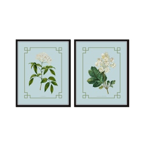 Oak Leaf Hydrangea and Elderberry Print Set on French Blue Background,  Botanical Print Set, Vintage Botanical Prints, Chinoiserie Art