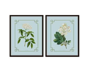 Oak Leaf Hydrangea and Elderberry Print Set on French Blue Background,  Botanical Print Set, Vintage Botanical Prints, Chinoiserie Art