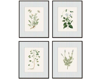 Antique Botanical Set, Giclee Set of 4 prints
