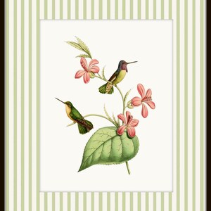May include: Two green and yellow hummingbirds perched on a branch with pink flowers and a large green leaf. The birds are facing different directions.