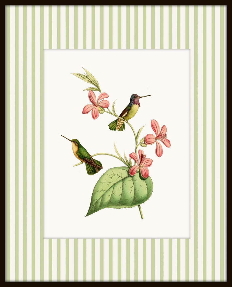 May include: Two green and yellow hummingbirds perched on a branch with pink flowers and a large green leaf. The birds are facing different directions.