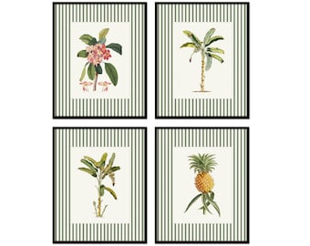 Vintage Botanical Giclee Print Set, Green Stripe Border, Tropical Palm Art, Coastal Decor