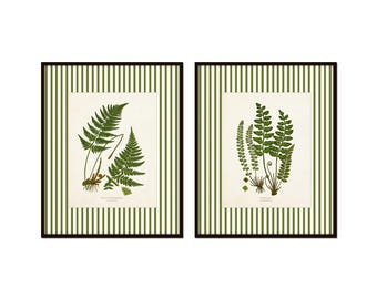 Green Striped Vintage Ferns Print Set, Grandmillennial, Cottagecore Art, Vintage Botanical Art, Set of Two Prints, Giclee