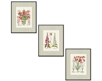 May include: Three framed botanical prints featuring colorful illustrations of flowers and plants. Each print is set against a striped background and framed in a black frame. The prints showcase various floral arrangements, perfect for home decor.