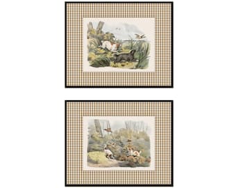 Vintage Hunting Dog Prints with Brown Gingham Border, English Bird Dog Giclee, Antique Dog Art