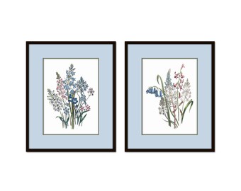 May include: Two framed botanical prints with blue and white flowers on a white background. The frames are black with a light blue mat.
