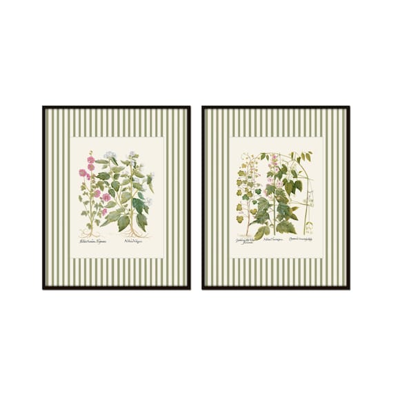 Antique Botanical Prints with Green Striped Border, Botanical Prints, Vintage Botanical Art, Floral Art, English Cottage Art