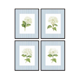 Blue Striped White Hydrangea Prints, White Flower Prints, Chinoiserie Art, Coastal Art, Wall Art, Blue and White Decor, Botanical Art