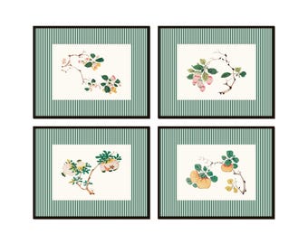 Antique Chinese Fruit Prints with Green Striped Border, Botanical Print Set, Fruit Prints, Chinoiserie Art, Home Decor, Wall Art, Giclee