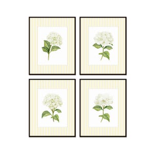Yellow Striped White Hydrangea Prints, White Botanical Prints, Chinoiserie Art, Wall Art, Giclee Prints, Striped Floral Art, Botanical Art