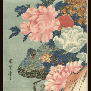 Op de afbeelding: Een Japanse houtsnede met een pauw met zijn staartveren uitgespreid, omringd door roze en witte pioenen. De print is gesigneerd in Japanse karakters.