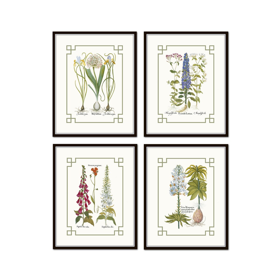Chinoiserie Antique Botanical Print Set No. 2, Flower Prints, Botanical ...