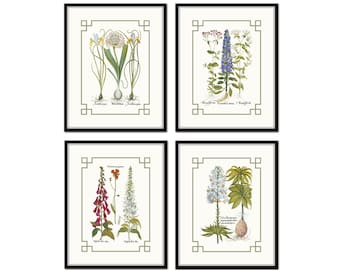 May include: Four framed botanical prints featuring detailed illustrations of various flowers. Each print has a cream-colored background with a black frame and a decorative border. The flowers include irises, foxgloves, and other species, with scientific names.