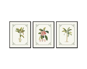 Chinoiserie Tropical Print Set, Coastal Art Decor, Tropical Botanical Print Set, Palm Beach Style Art, Palm Tree Prints, Vintage Botanical
