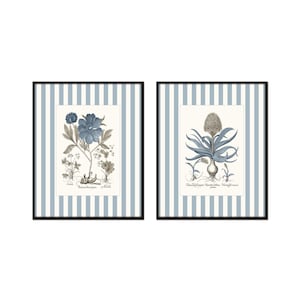 Blue Striped Antique Botanical Print Set, Sepia and Blue Botanical Prints, Coastal Art, Chinoiserie Art, Blue and White Decor, Vintage Art