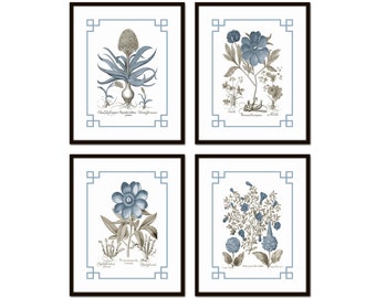 May include: Set of four botanical prints featuring blue and gray illustrations of flowers and plants. Each print has a black frame with a light blue border and a Latin name for the plant.