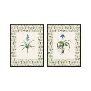 French Blue Botanical Prints with Floral Block Print Border, Blue Botanical Art, Grandmillennial Art, English Country Cottage Art, Giclee