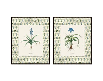 May include: Two framed botanical prints with blue flowers and green leaves on a white background. The frames have a green and blue patterned border.