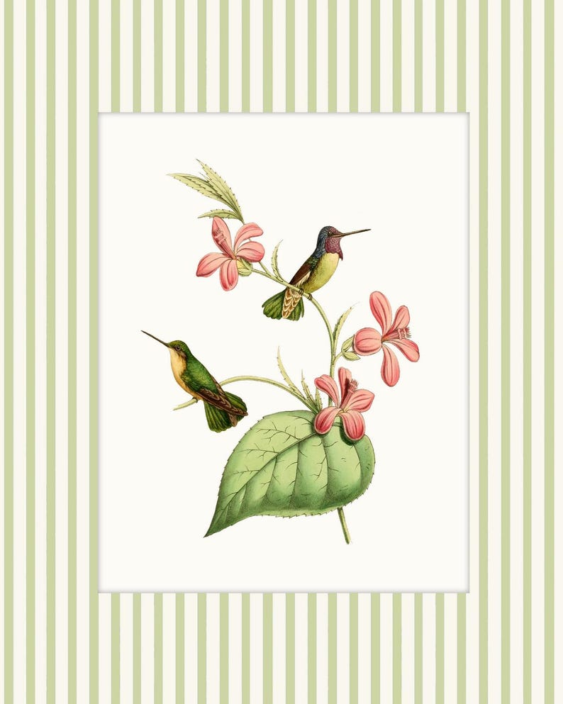 May include: Two green and yellow hummingbirds with black beaks and pink feet are perched on a branch with pink flowers and a green leaf. The background is a white striped pattern.