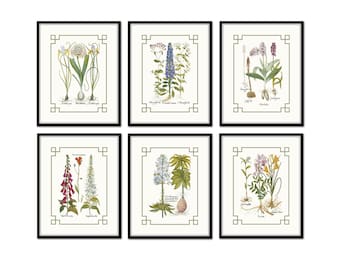 Chinoiserie Antique Botanical Print Set No. 1, Flower Prints, Botanical Art, Botanical Prints, Wall Art, Home Decor, Grandmillennial Decor