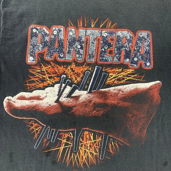Vintage 90s pantera winterland - Gem