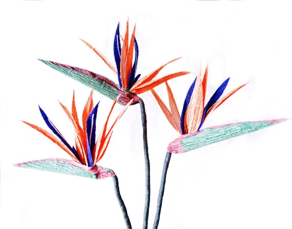 paper bird of paradise crepe paper flower decoration etsy paper bird of paradise flower