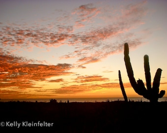 Desert Sunset // Cabo San Lucas, Mexico // Physical Print