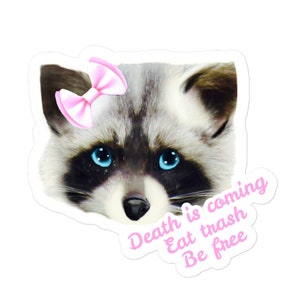 La mort approche, mange des ordures, sois un raton laveur libre sticker meme | sticker panda poubelle, sticker tumblr, sticker drôle