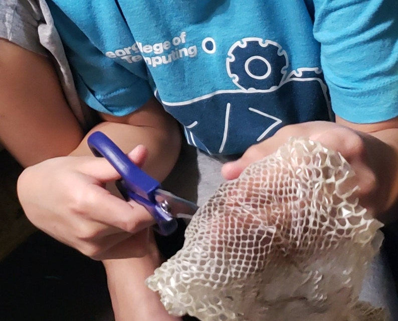 Puede incluir: Una persona est&aacute; sosteniendo un trozo de piel de serpiente muda en su mano. Est&aacute; usando unas tijeras azules para cortar la piel. La persona lleva una camiseta azul con el texto "College of Computing" en ella.