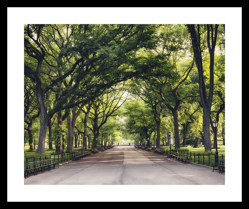 Fine Art Prints New York Photography Travel Gift New York Prints NYC