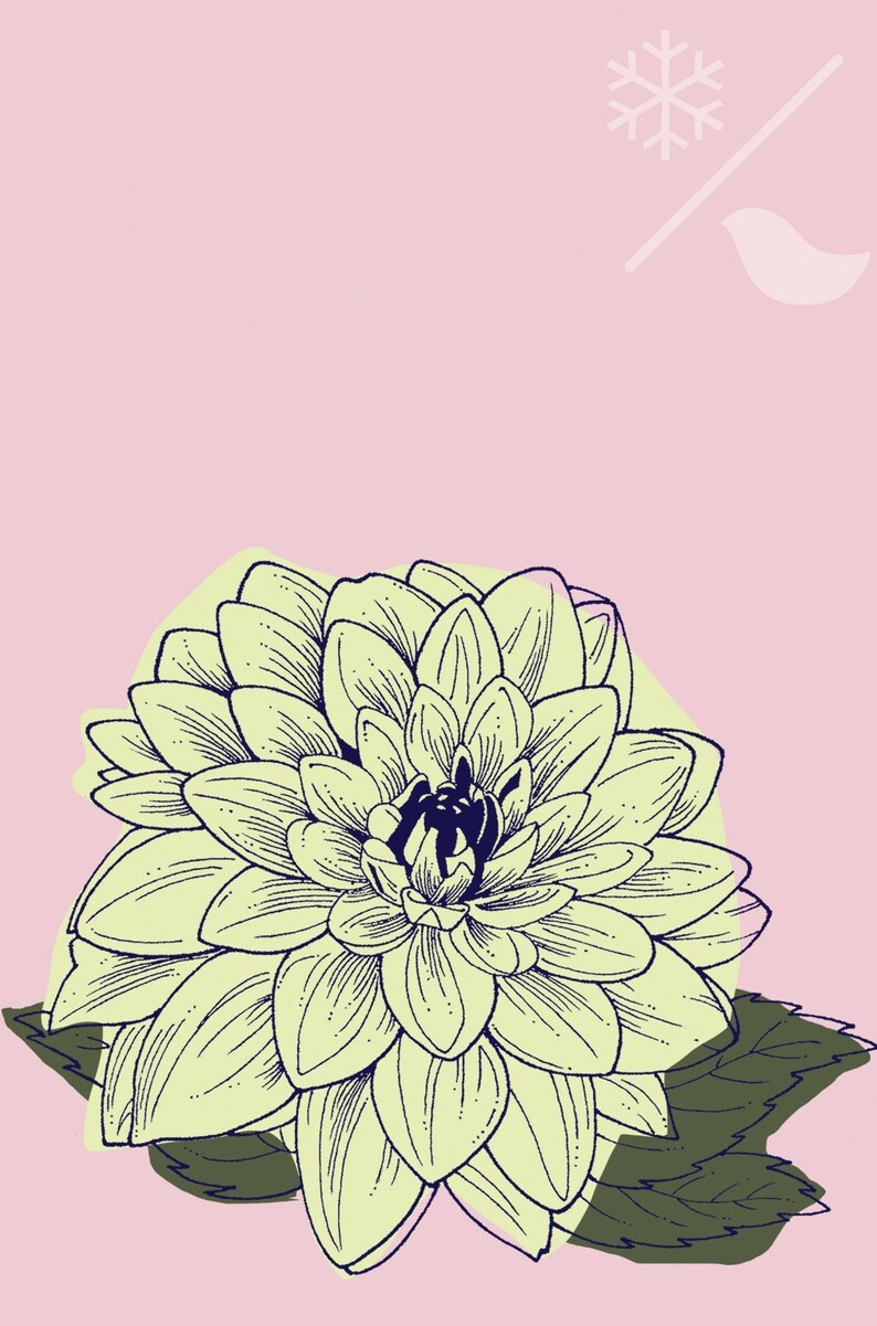 4x6 Art Prints Set of 3 Floral, Modern, Rose, Dahlia, Peony - Etsy