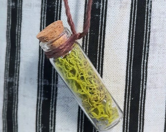 GREEN MOSS NECKLACE, adjustable, dried flower bottle necklace, dried moss, dried flowers in bottles, adjustable cord, reindeer moss