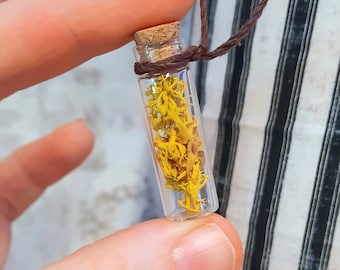 YELLOW MOSS NECKLACE, adjustable, dried moss bottle necklace, dried moss, dried flowers in bottles, adjustable cord, reindeer moss