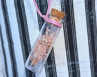 PINK MOSS NECKLACE, necklace, dried moss, reindeer moss, dried flowers in bottles, adjustable cord