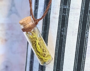 GREEN MOSS NECKLACE, adjustable, dried flower bottle necklace, dried moss, dried flowers in bottles, adjustable cord, reindeer moss