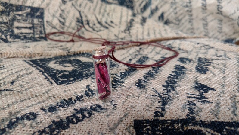 adjustable cord ROSE PETAL bottle NECKLACE dried flower petals bottle necklace adjustable