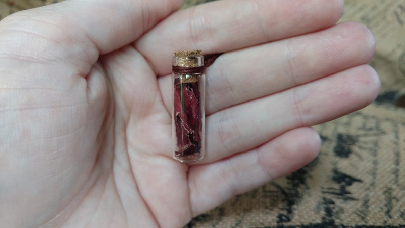 adjustable cord ROSE PETAL bottle NECKLACE dried flower petals bottle necklace adjustable