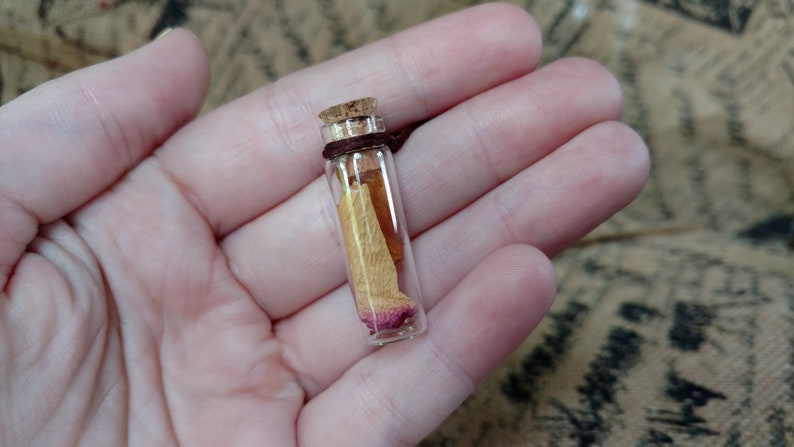 adjustable cord ROSE PETAL bottle NECKLACE dried flower petals bottle necklace adjustable