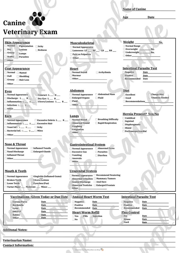 Canine Vet Exam Form Etsy