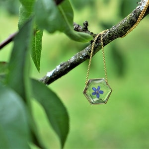 Collar Forget-Me-Not Cadena chapada en oro rosa, oro amarillo o rodio, Joya Geométrica de Resina Joya Botánica Flor azul real Flor prensada Azul imagen 2