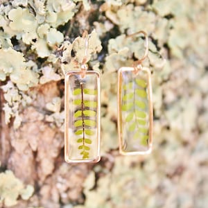 Fern earrings Veritable fern leaves Geometrical earrings Minimalist jewelry Nature jewels Gift for her Fern in resin Elegant earrings image 6