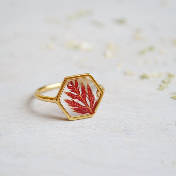 US size M only / Maple leaf ring Hexagonal ring Veritable pressed leaf Resin ring Red maple leaf ring Gold 16K plated Geometrical Delicat