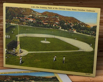 Vintage Chicago Cubs Postcard - Spring Training on Catalina Island - Canvas Gallery Wrap