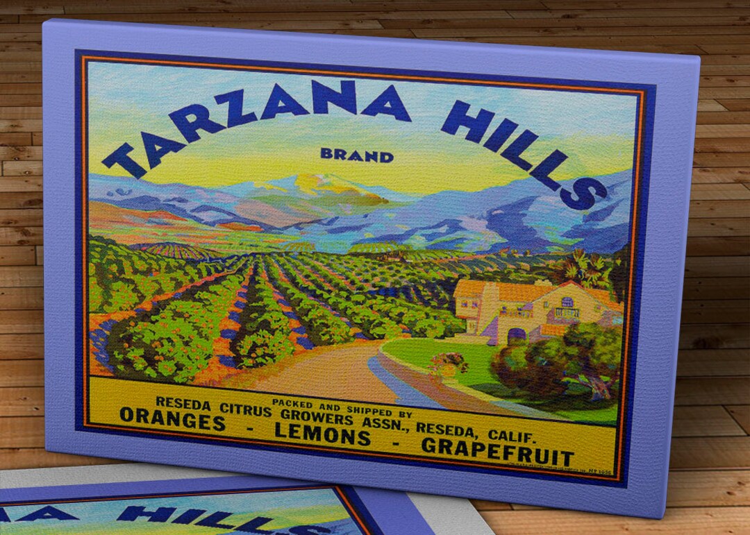 1940 Vintage Produce Label Tarzana Hills_brand Canvas Gallery Wrap Etsy