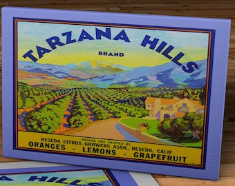 1940 Vintage Produce Label - Tarzana Hills_Brand - Canvas Gallery Wrap