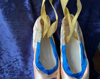 Belle of the Castle pointe shoes