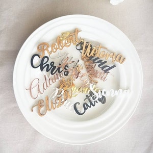50 Place Names . Laser cut place names. Place Names.  Seating names. Place cards.