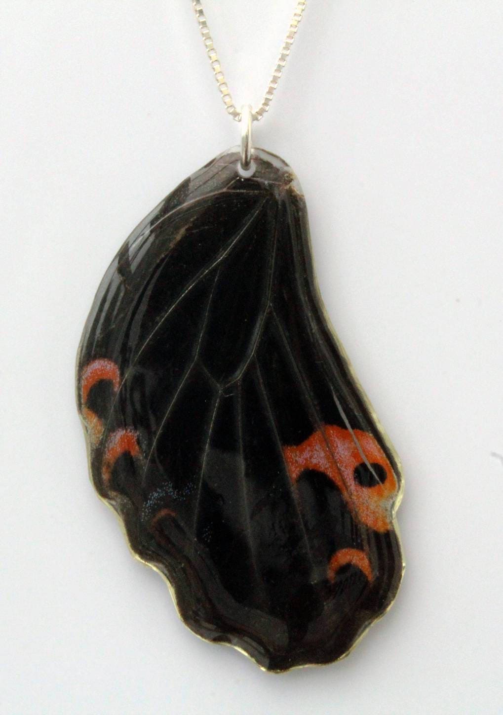 Chinese Peacock Butterfly Wing Necklace 