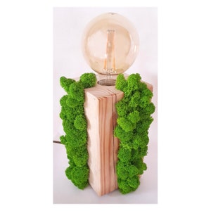 Wooden lamp with Scandinavian moss made to order, traditional lamp, Floor lamp, living, home, art deco, furniture, electric lamp, Natural image 5